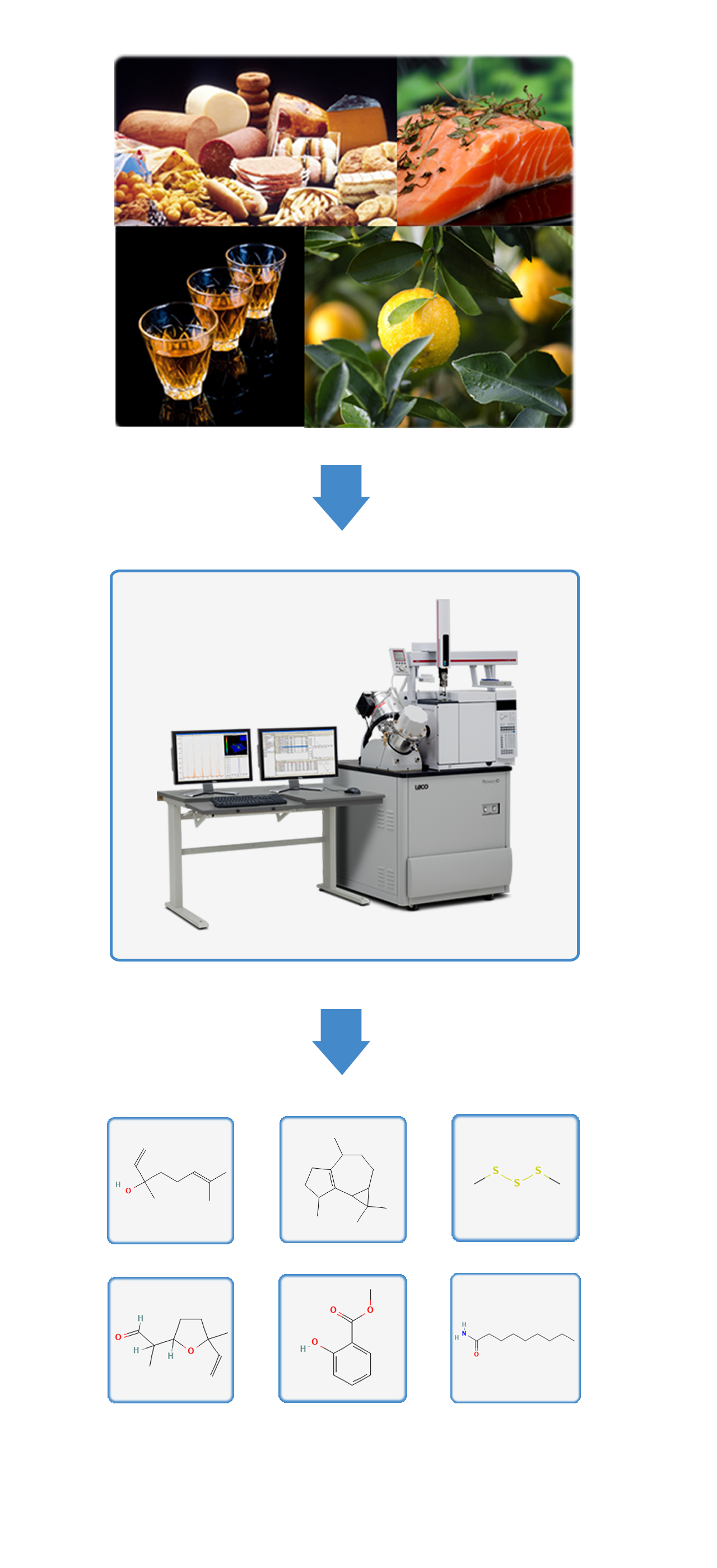 新品鉴证 | 风味组学–领跑食品业的一枝独秀