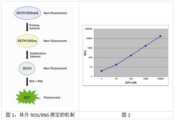 艾美捷体外活性氧/活性氮检测试剂盒结果示例说明