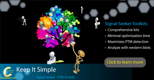 初夏盛惠，Cytoskeleton翻译后修饰（PTM）产品线放价啦！