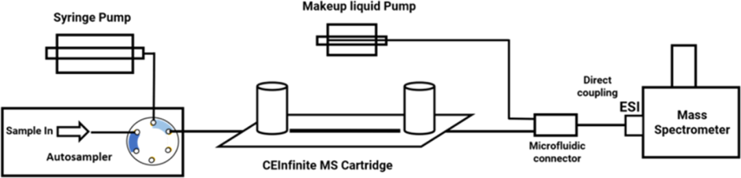 基于尖端的全柱成像等电毛细管电泳