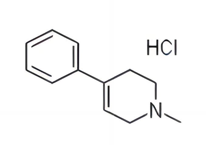 MPTP诱导动物帕金森模型的建立(Parkinson's disease,PD)