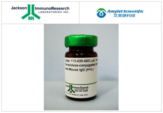 Jackson公司蛋白质印迹指南丨样品制备