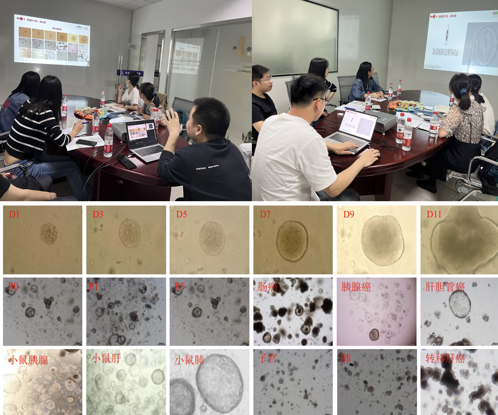 类器官实操大本营第五期圆满结束