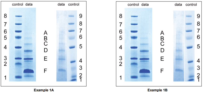 发表论文时，图像处理如何避免图片误用或学术不端？