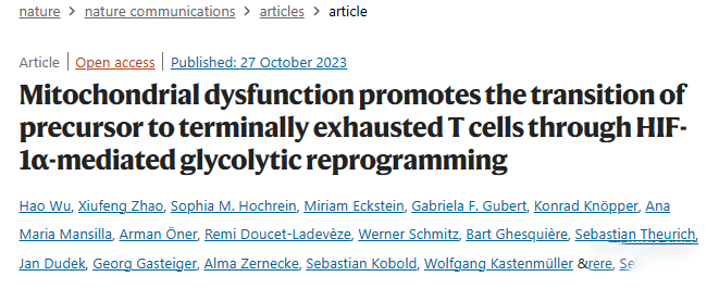 Nature Communications丨线粒体功能障碍通过HIF-1α介导的糖酵解重编程促进前体细胞向终末衰竭 T 细胞过渡