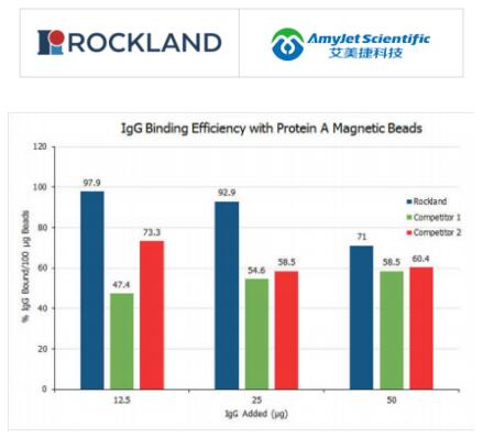 Rockland代理商艾美捷丨TrueBlot蛋白A磁珠IP/Co IP试剂盒 Rockland代理商艾美捷丨TrueBlot蛋白A磁珠IP/Co IP试剂盒