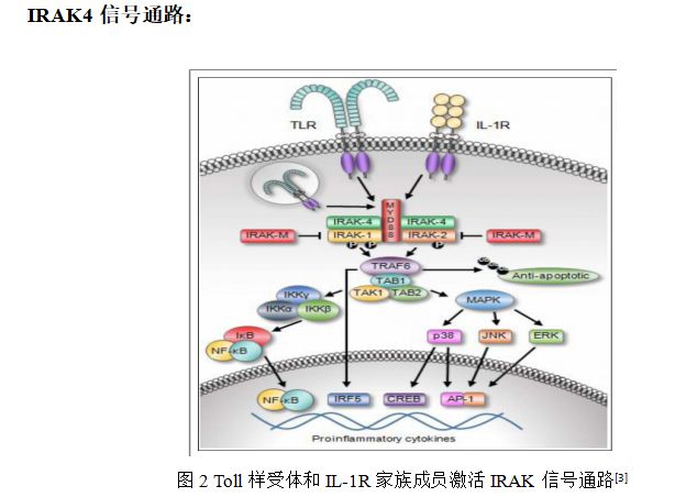 新闻图片2