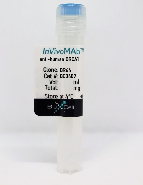 InVivoMAb抗人GPC-2：精选商品，超值享受