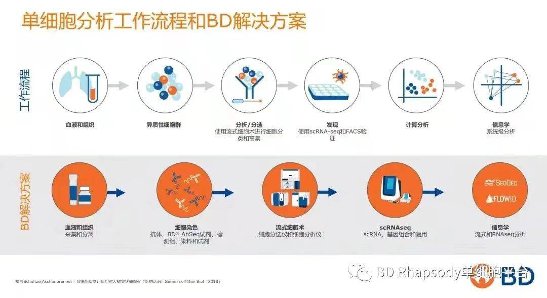 术业有专攻，单细胞研究就交给碧迪医疗单细胞多组学整体解决方案吧
