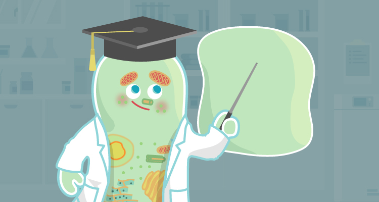 您想知道的血清知识，来围观哦！