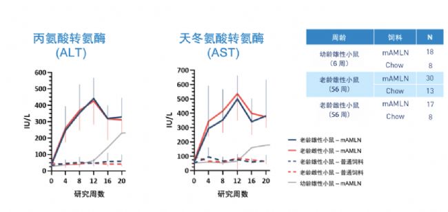 应用纪要：老龄鼠助力非酒精性脂肪肝炎（NASH）研究