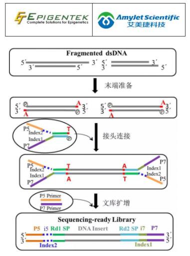 各有特色的艾美捷Epigentek二代测序盒子们！