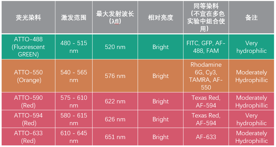 神经科学热门产品5：内向整流型钾离子通道抗体