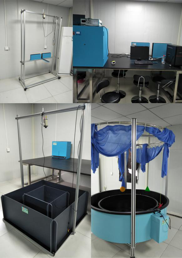 做实验动物疾病模型，云克隆是认真的