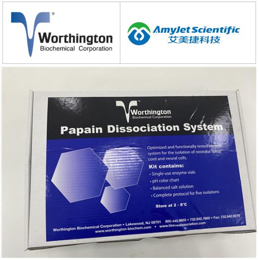 Worthington氧化还原研究丨 D-氨基酸氧化酶的相关应用 Worthington氧化还原研究丨 D-氨基酸氧化酶的相关应用