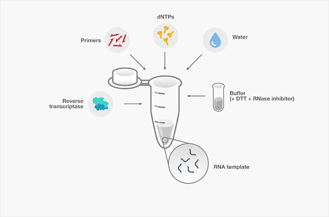 1697678244390479.png 1697678244390479.png