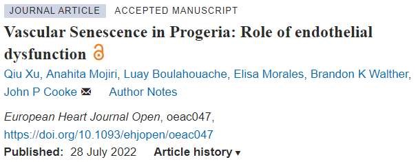 文献分享：内皮细胞在早衰中的作用
