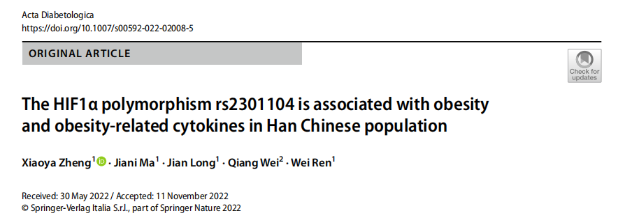 中国汉族人群中HIF1α多态性rs2301104与肥胖及肥胖相关细胞因子相关
