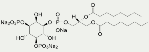 [干冰]磷脂酰肌醇(3,5)二磷酸二辛酯(PI(3,5)P2 diC8)-PI(3,5)P2 diC8现货促销