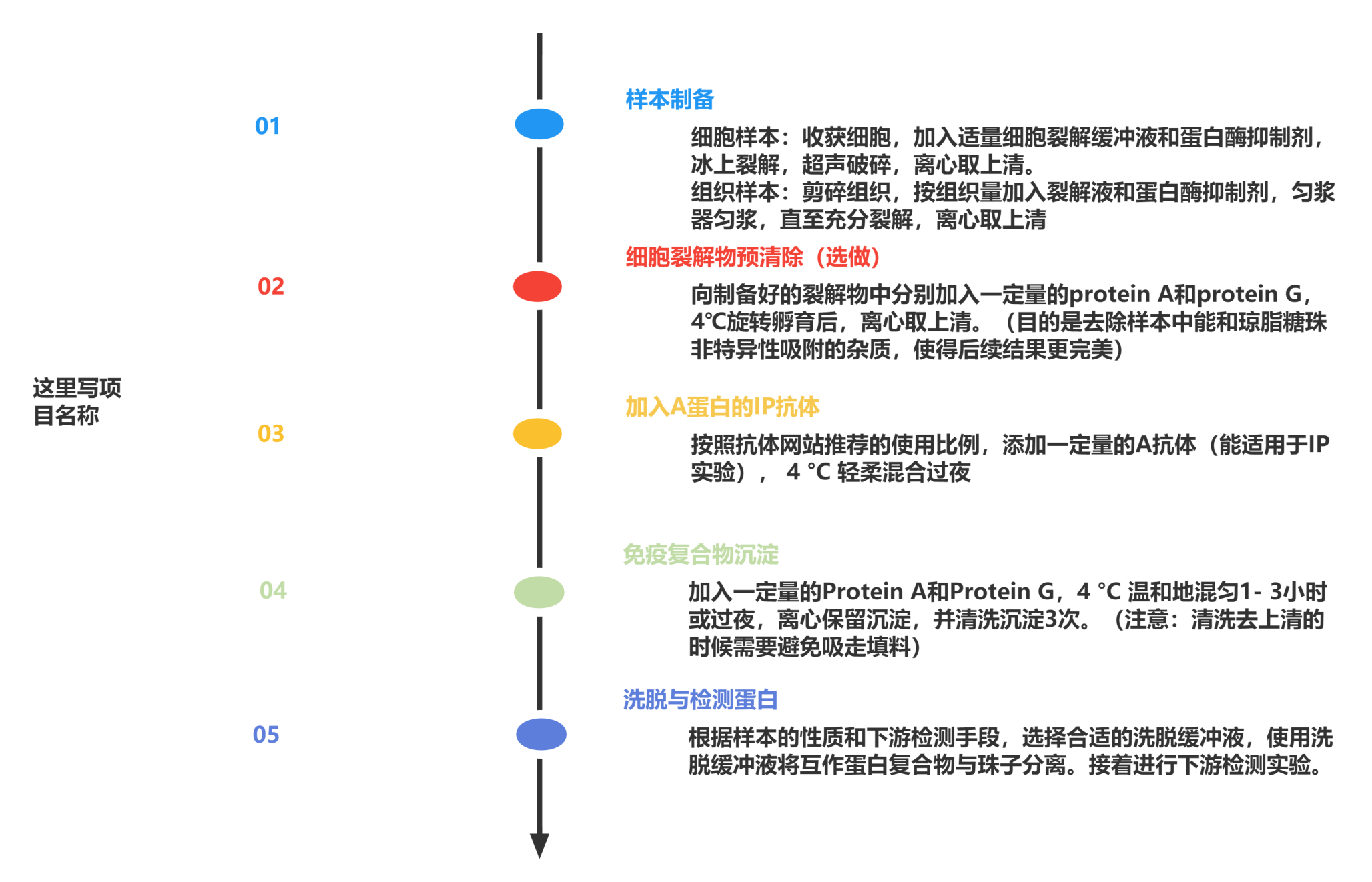 免疫共沉淀实验·基础篇-企业动态-丁香通