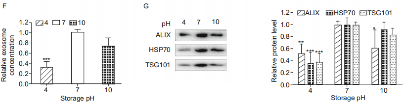 外泌体5.png 外泌体5.png