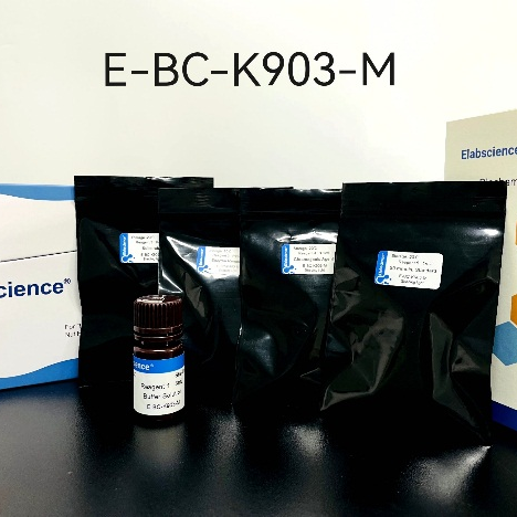 谷氨酸检测升级！更准确、高效，方便，节省！