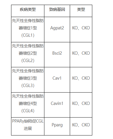“脂肪”不要走——先天性全身性脂肪萎缩症