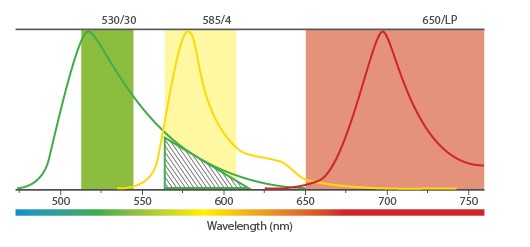 技术资料| 多色流式中荧光补偿调节方法与步骤