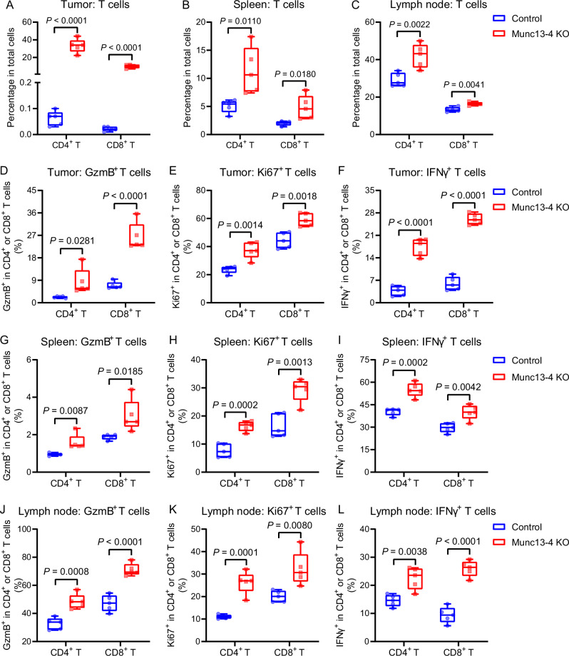 6389673026128546176144699