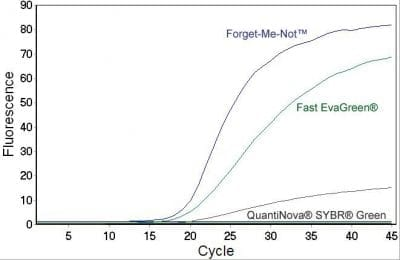 Biotium丨艾美捷EvaGreen染料的独特性能
