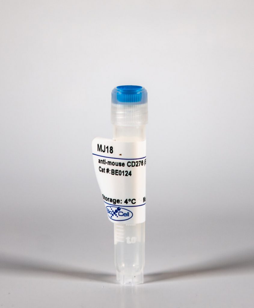 BioXcell特色产品推荐之：InVivoMAb anti-mouse CD276 (B7-H3) 