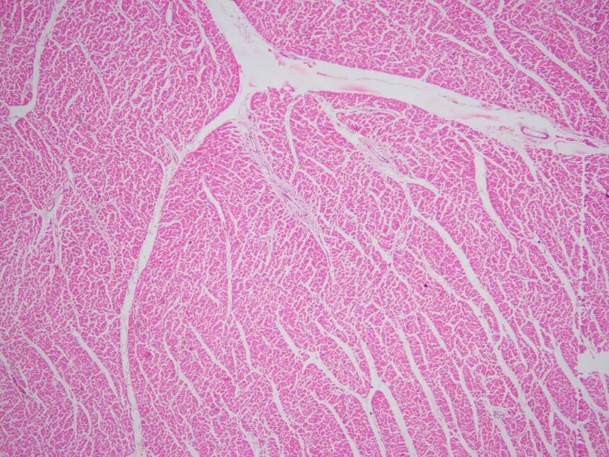 1693384455348130.jpg 1693384455348130.jpg