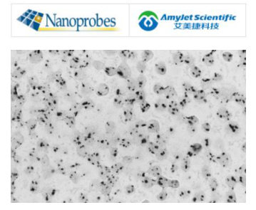 Nanoprobes代理商艾美捷纳米金®共轭物方案 Nanoprobes代理商艾美捷纳米金®共轭物方案