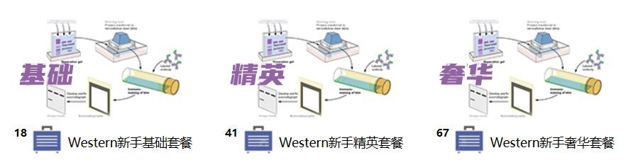 碧云天一站式采购全新升级上线！