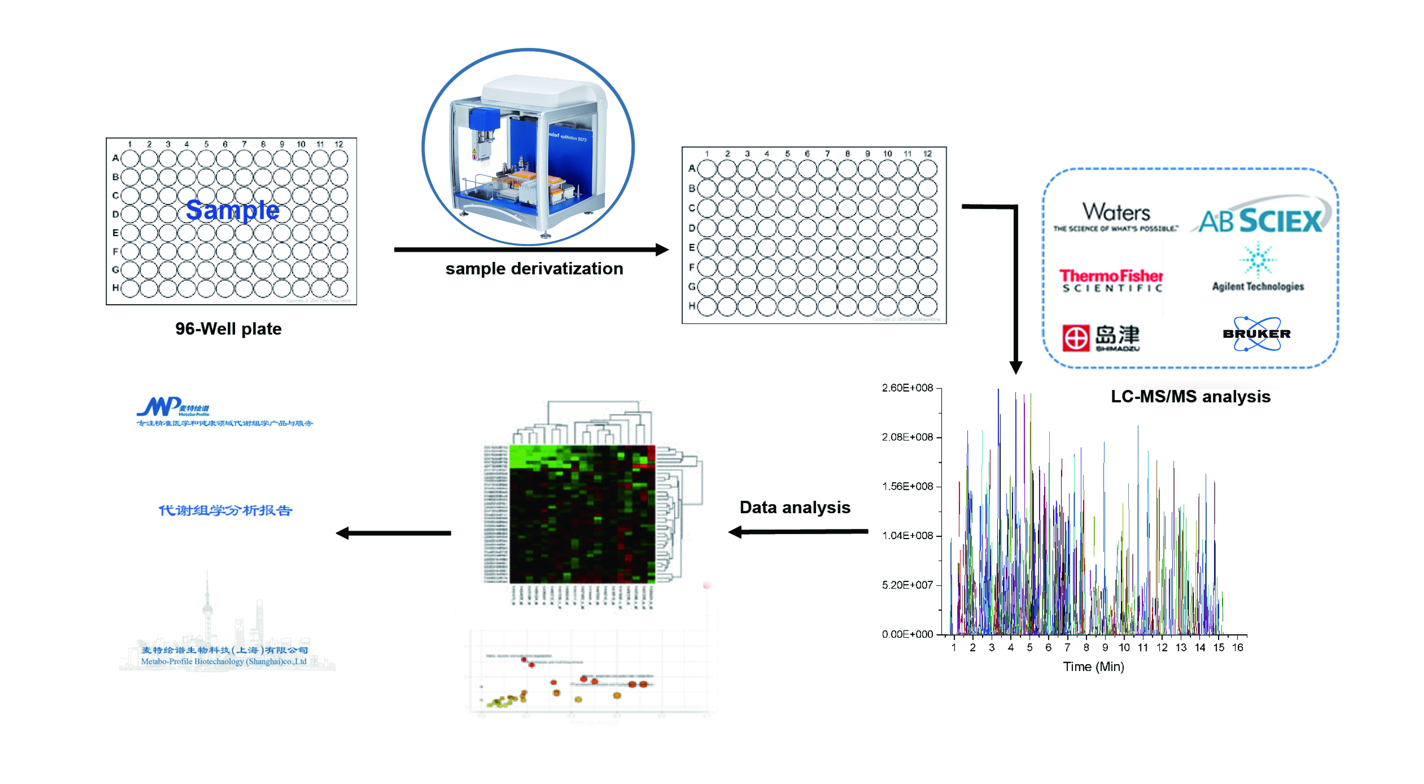 新型技术 | Q300全定量代谢芯片试剂盒，助检测全程无忧