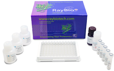 RayBiotech小鼠IL-28A/B ELISA试剂盒，爆款低至冰点价