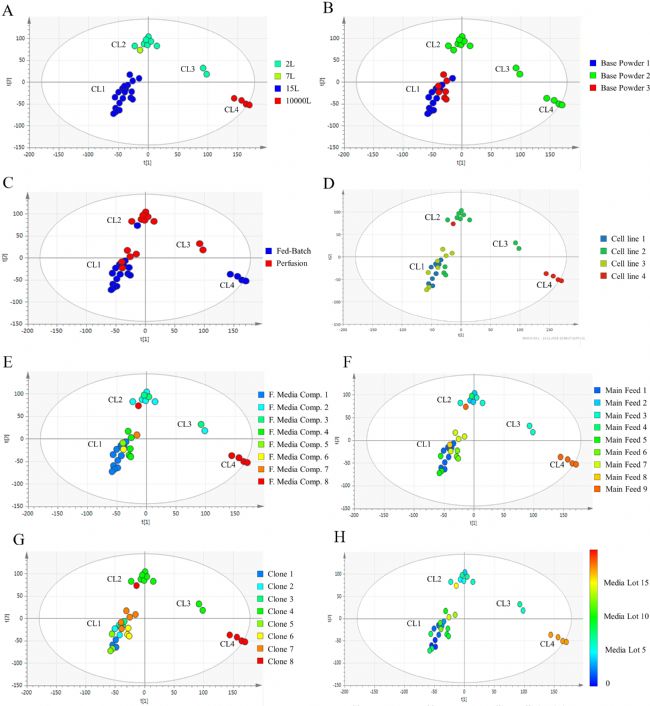 生物上游过程工艺开发阶段通过拉曼光谱提高对mAb生产的可靠性