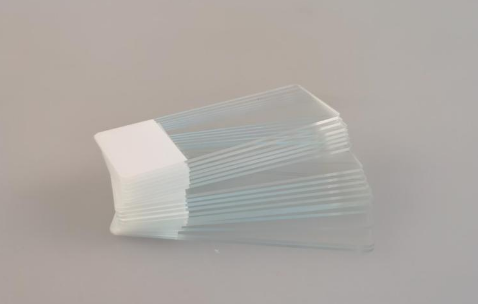 Absin细胞培养耗材推荐——载玻片、细胞爬片