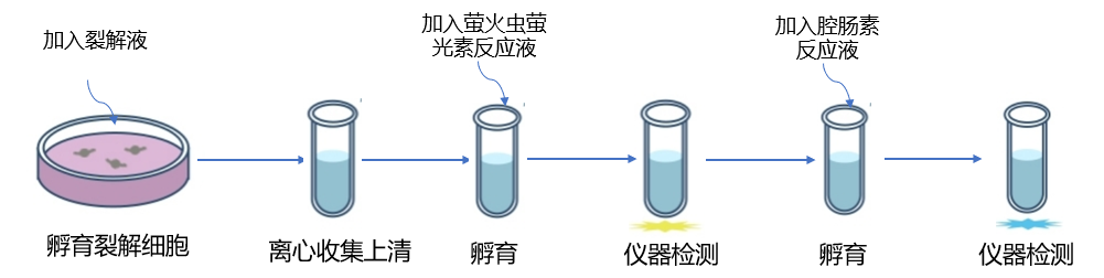 新闻图片2