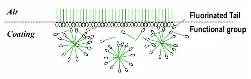 FSA的迁移性示意
