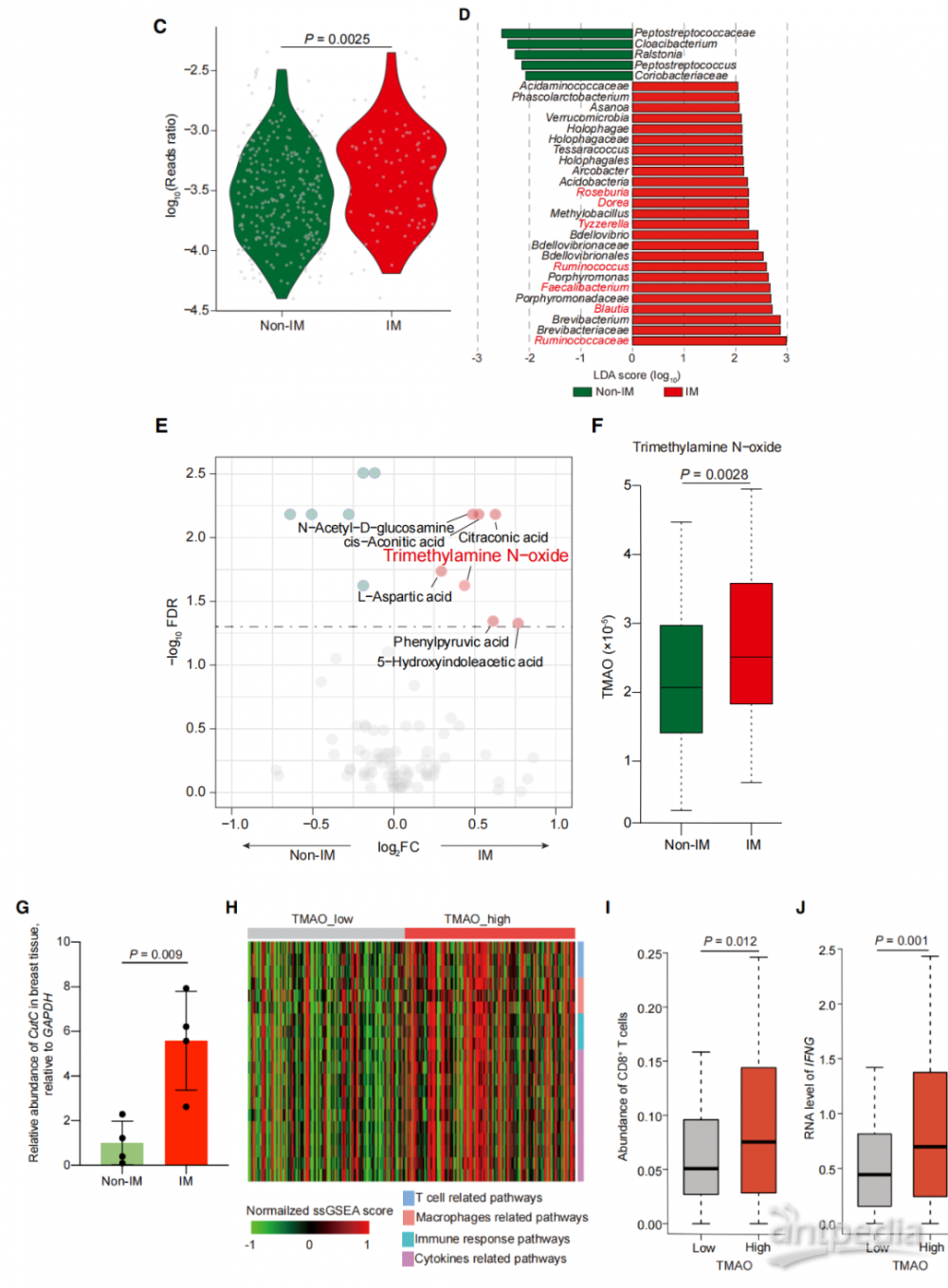 百趣代谢组学资讯:复旦团队为三阴性乳腺癌治疗策略再添新翼