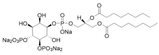 Echelon/艾美捷——磷脂酰肌醇4,5-二磷酸diC8   