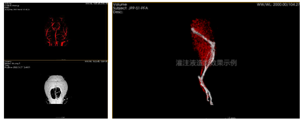 小动物成像检测有哪些?可以对应哪些指标?