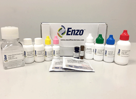 Enzo丨Enzo 小鼠HRP/兔子AP IHC套件方案