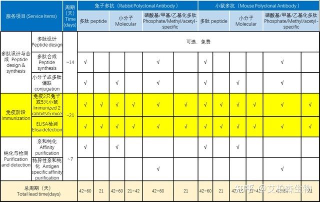 快速抗体制备服务
