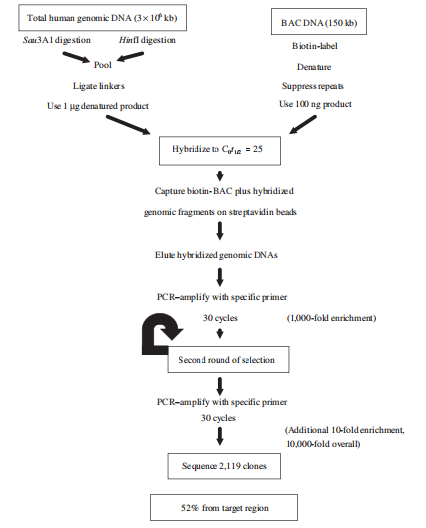 科普硬货-靶向测序概述