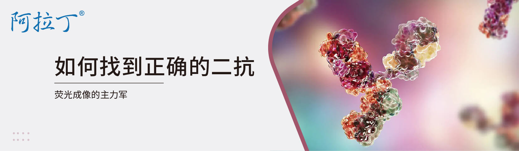 如何找到合适的二抗