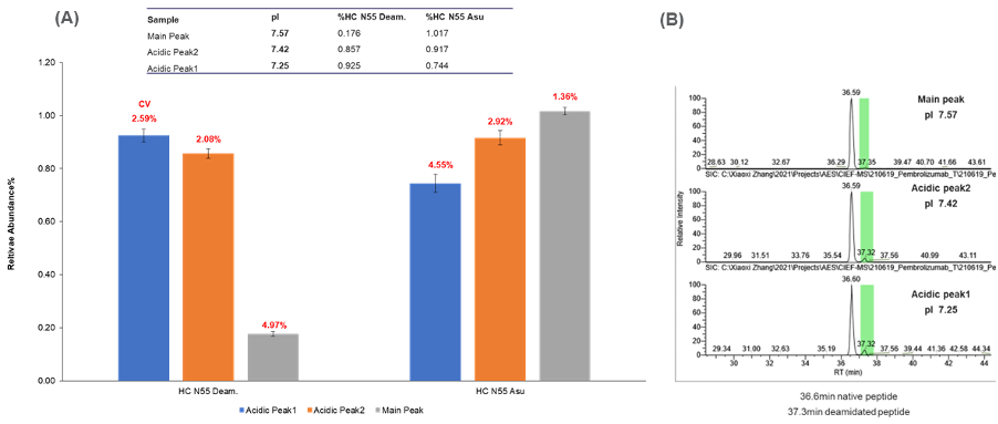基于尖端的全柱成像等电毛细管电泳