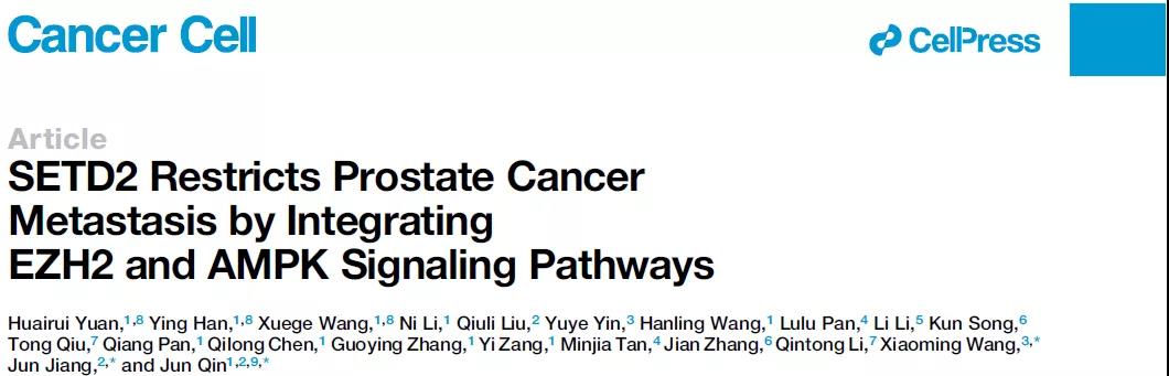 赛业生物基因编辑小鼠助力肿瘤研究