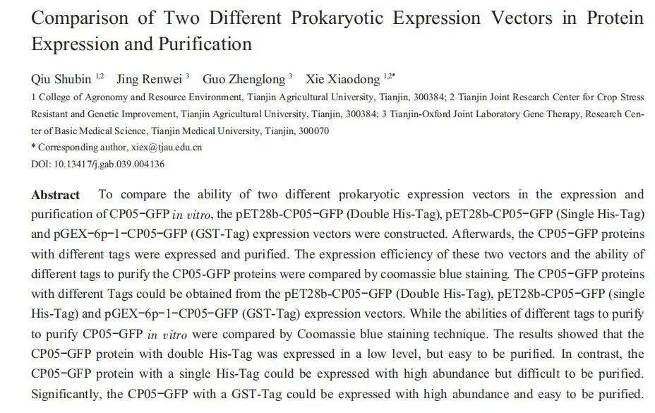 纯化标签蛋白，载体如何选择？看这篇~